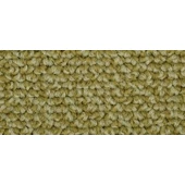 Mocheta buclata