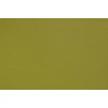 Argano 141 Lime piele ecologica