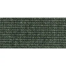 Mocheta buclata (boucle)