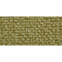 Mocheta buclata (DB 2 Ton)