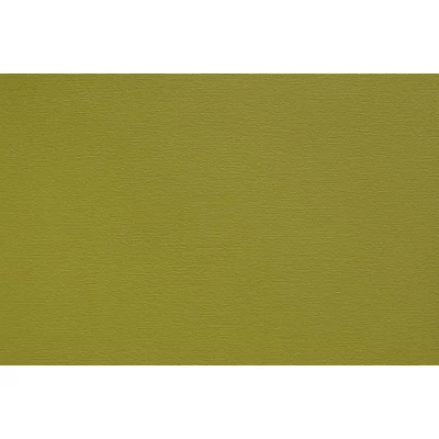 Argano 141 Lime piele ecologica