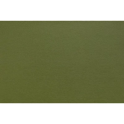 Argano 142 Olive piele ecologica